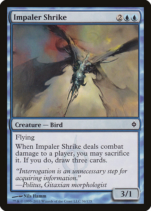 Impaler Shrike (Common)
