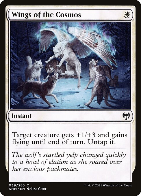 Wings of the Cosmos (Common)