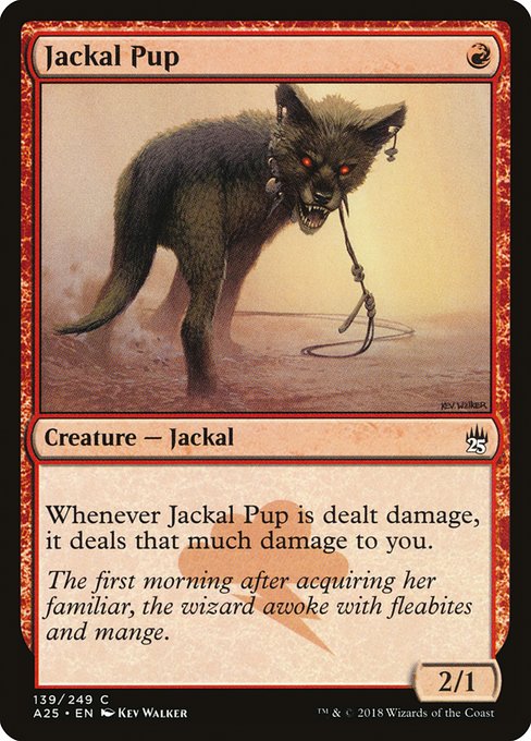 Jackal Pup (Common)