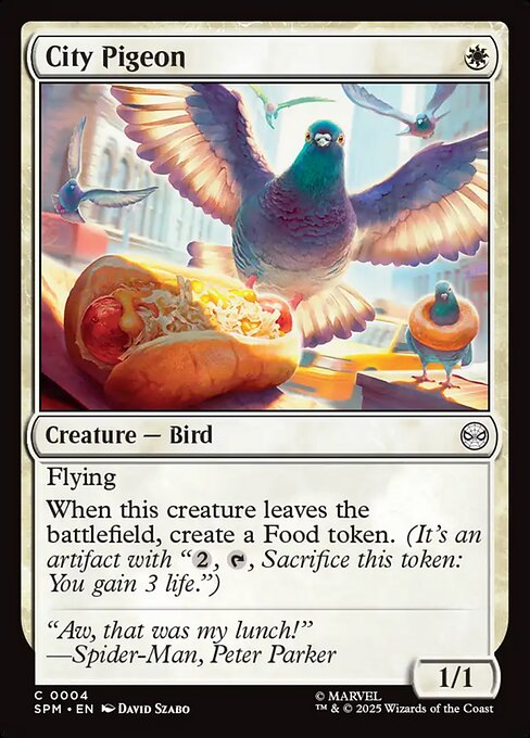 City Pigeon (Common)