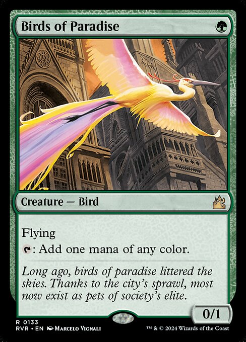 Birds of Paradise (Rare)