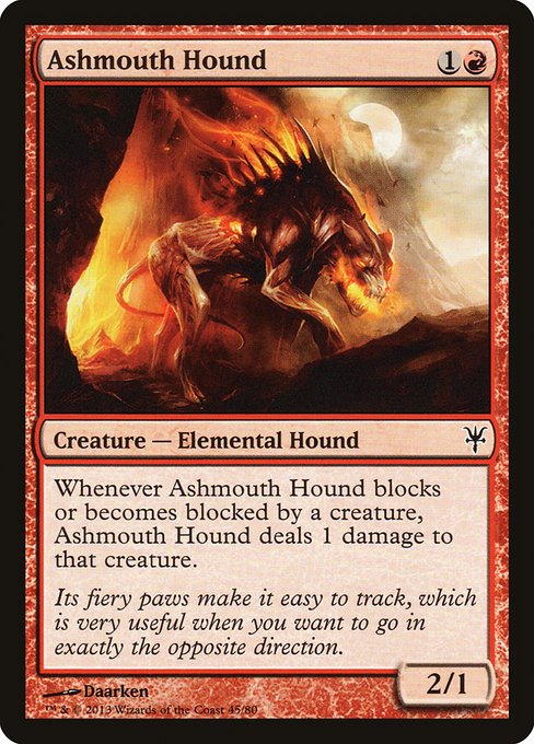 Ashmouth Hound (Common)
