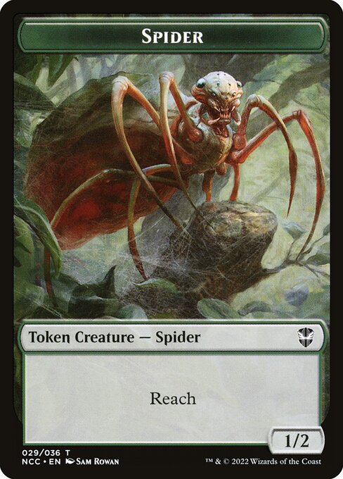 Spider (Common)