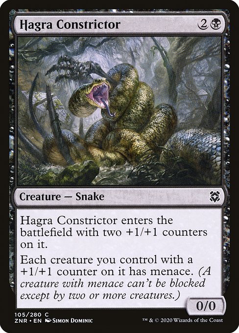 Hagra Constrictor (Common)