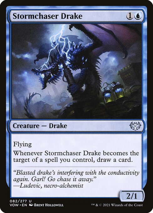 Stormchaser Drake (Uncommon)