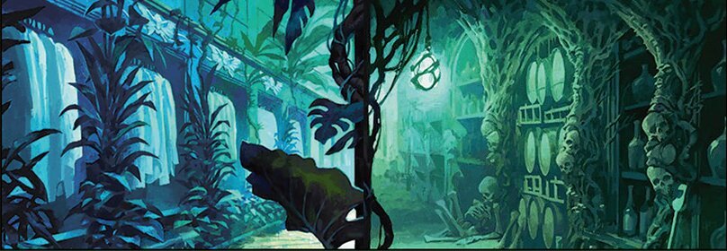 Walk-In Closet // Forgotten Cellar