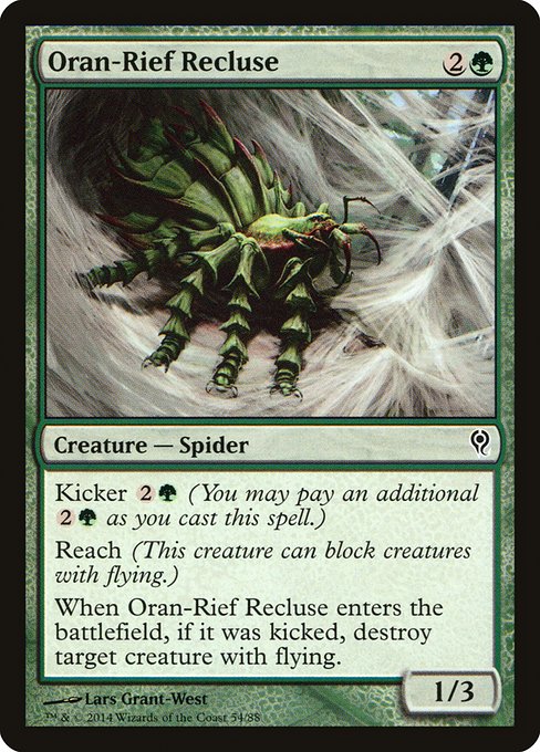 Oran-Rief Recluse (Common)