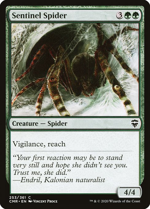 Sentinel Spider (Common)