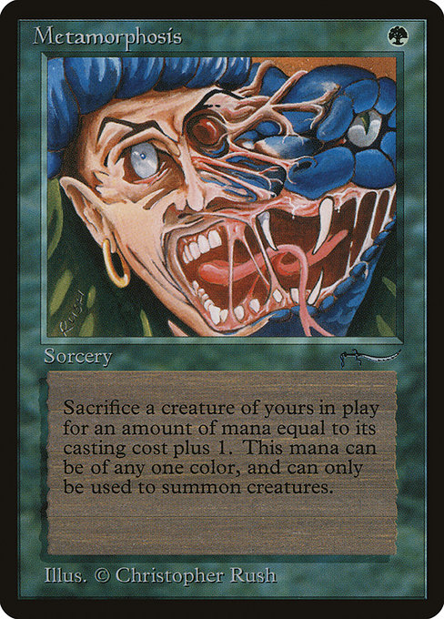 Metamorphosis (Common)