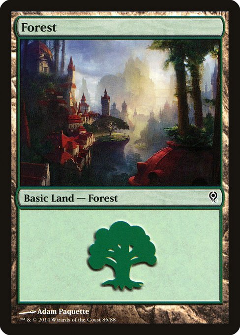 Forest (Common)