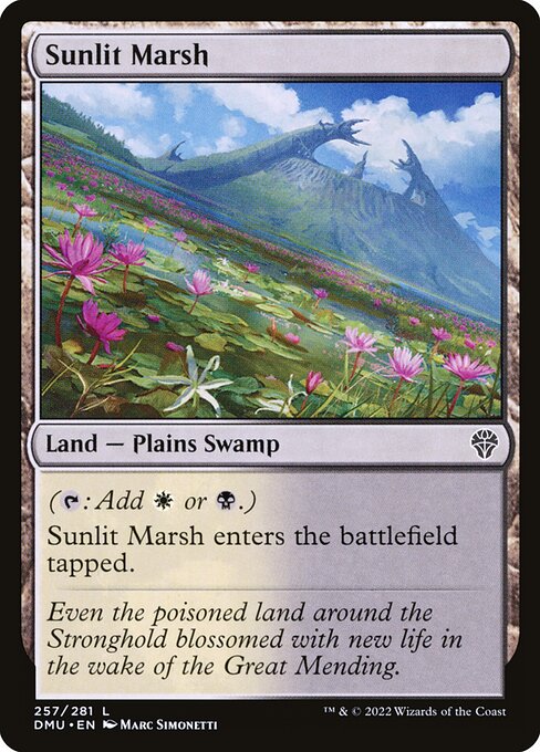 Sunlit Marsh (Common)