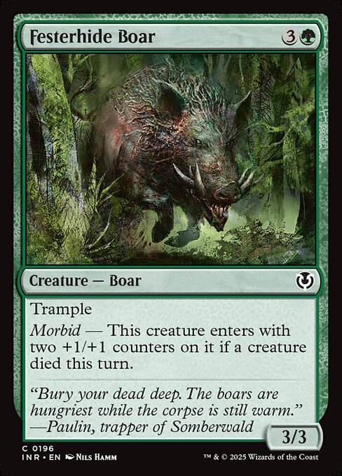 Festerhide Boar (Common)