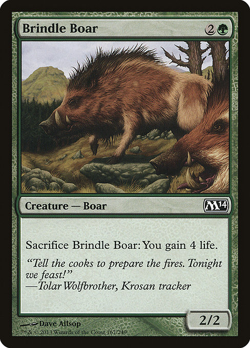 Brindle Boar (Common)