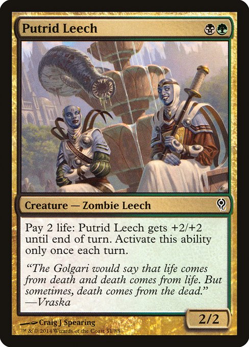 Putrid Leech (Common)