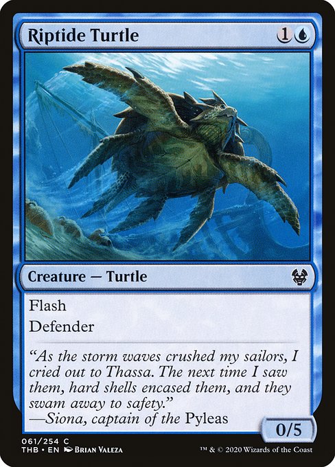 Riptide Turtle (Common)