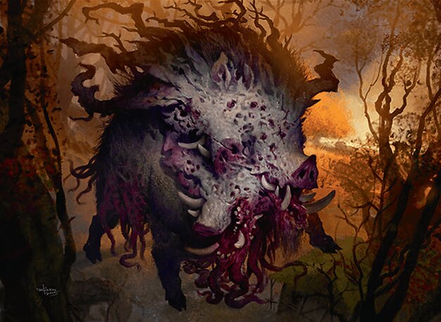 Decimator of the Provinces