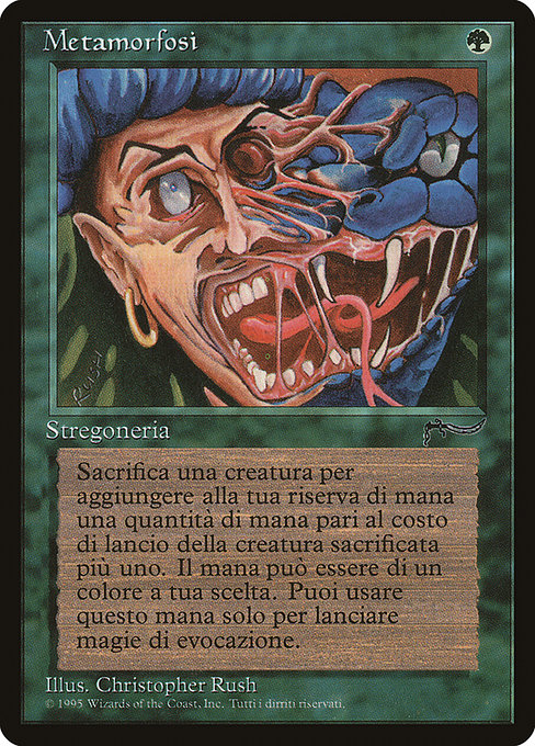 Metamorphosis (Common)