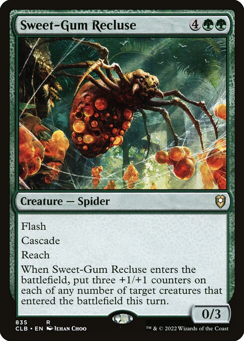 Sweet-Gum Recluse (Rare)