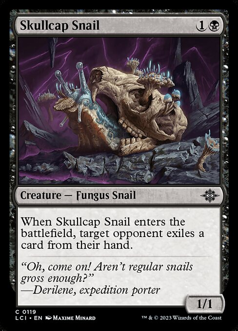 Skullcap Snail (Common)
