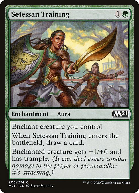 Setessan Training (Common)