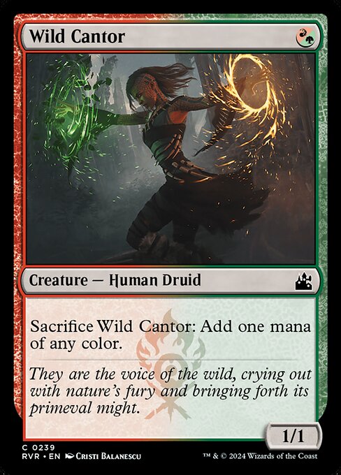 Wild Cantor (Common)