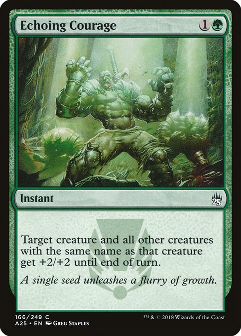 Echoing Courage (Common)