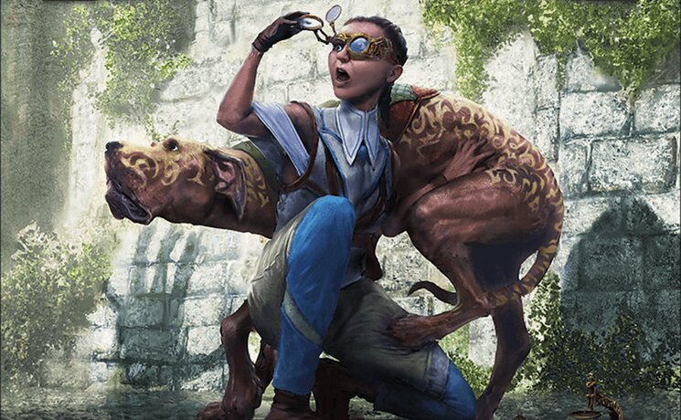 Sophia, Dogged Detective