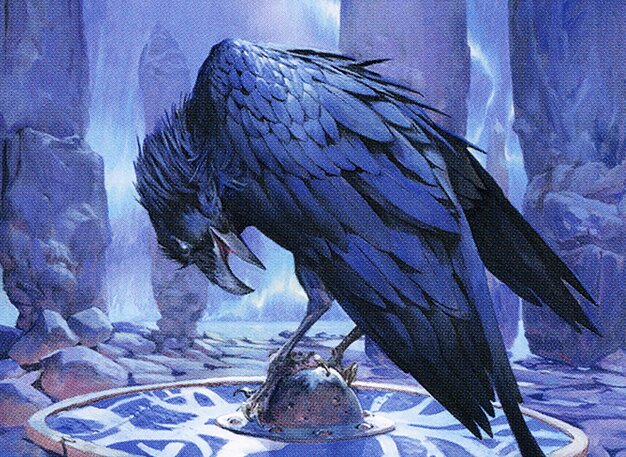 Augury Raven