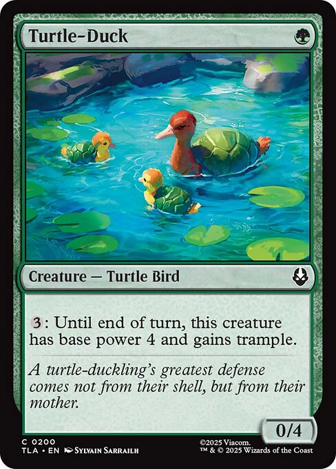 Turtle-Duck (Common)