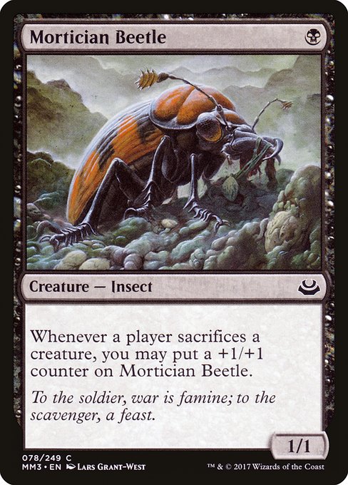 Mortician Beetle (Common)
