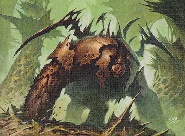 Chancellor of the Tangle