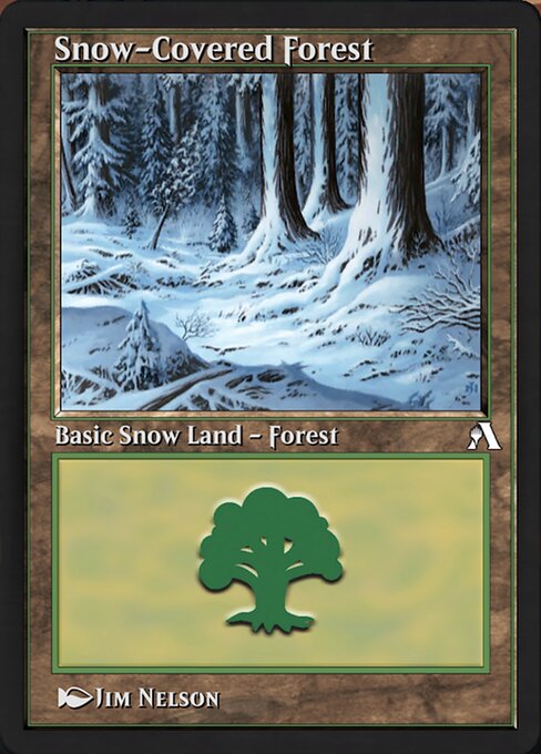 Snow-Covered Forest (Common)