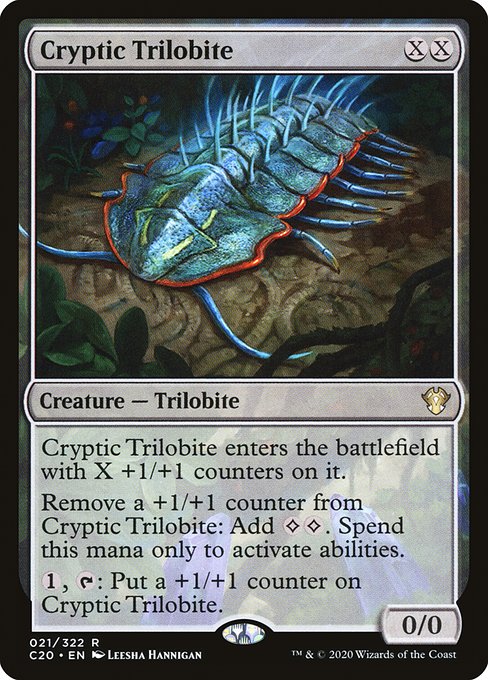 Cryptic Trilobite (Rare)
