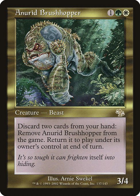 Anurid Brushhopper (Rare)