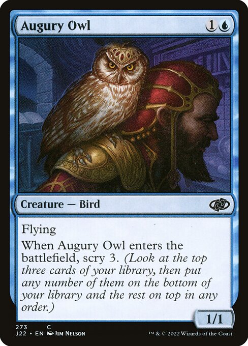 Augury Owl (Common)