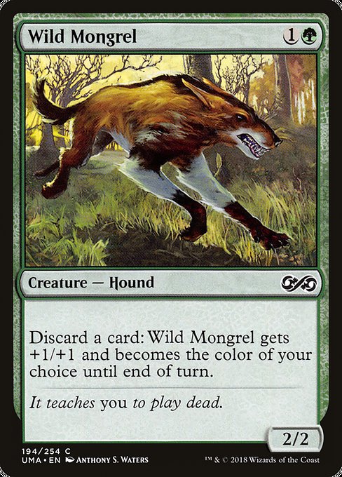 Wild Mongrel (Common)