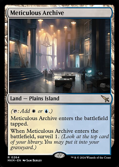 Meticulous Archive (Rare)