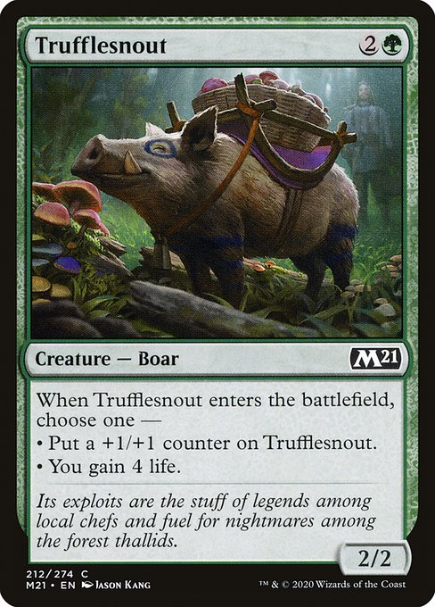 Trufflesnout (Common)